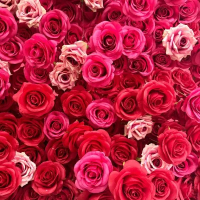 Sturdy Durable Eco-Friendly Extra Large Modern Realistic 3D Gradient Square Silk Flower Wall Shandong China Party Background