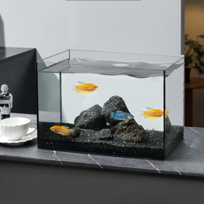 Tank Desktop Goldfish Ecological Aquarium
