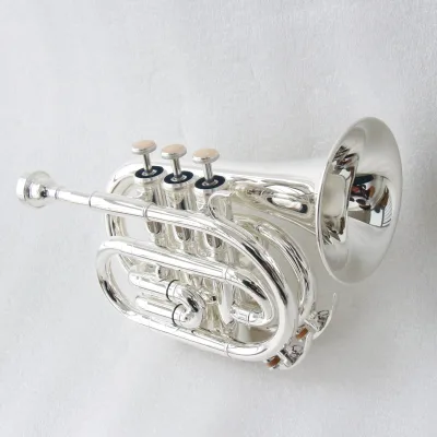FOCUS Brand FPT-200S BB Tone Brass Body Professional Trumpet Handmade Silver Plated Trumpet OEM
