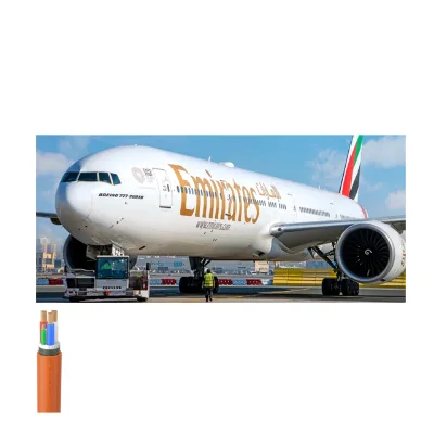 Air Freight Service with Duty Paid and Door to Door Delivery From China to Kalba, UAE International Express.Other Lines
