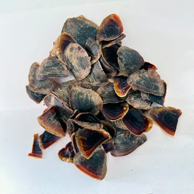 Lowest Price The Lid Of A Fragrant Snail Shell Lid Artificil Flvor
