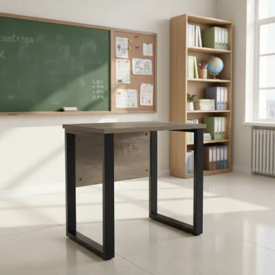 Modern Iron Student Desk with Adjustable Metal Frame for Home Office and Study Use