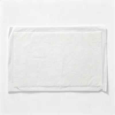 SAP Seafood Absorbent Pad, Water Absorbing Shock Cushion Pad for Fresh Seafood Packaging Transport