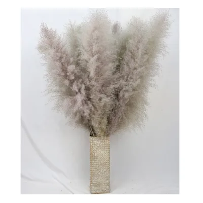 Hot Selling Products 120 cm Grey Color Natural Dried Large Pampas Grass for Decorations