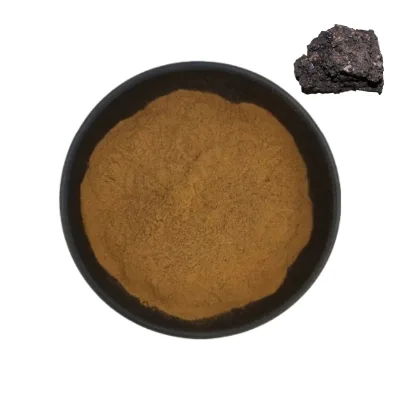 Wholesale Bulk GRHERB 10:1 Shilajit Powder Food Grade Health Supplement High Fulvic Acid Content 2 Year Shelf Life Solvent Drums
