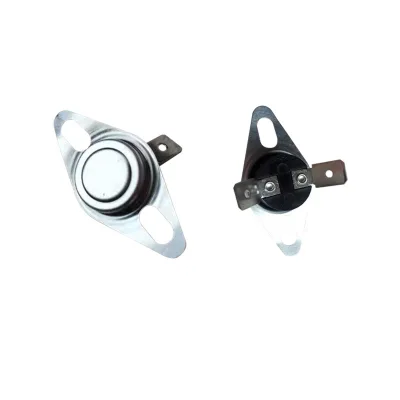 Autoclave Sterilization Accessories Timer Heater Thermostat Thermal Switch for Sale