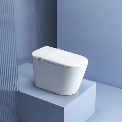 Modern-Style Smart Auto-Operation One-Piece Design Dual-Flush Concealed Tank Multi-Jet Tornado Elongated P-Trap S-Trap Drainage