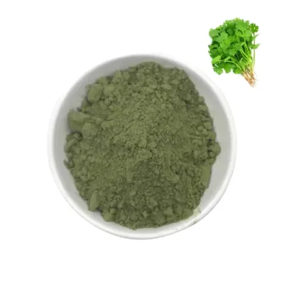 Factory Supply High Quality Cilantro Leaf Powder Wholesale Price Fresh Goods