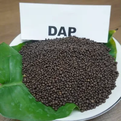 Diamond Tibet Controlled Release Nitrogen Fertilizer Black DAP 18-46-0