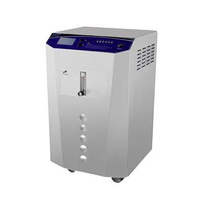 Corona Discharge Ozone Generator Oxygen PSA Portable Water Purifier Machine 1000L/Hour Adjustable O3 Concentration 6.0-28.0g/h