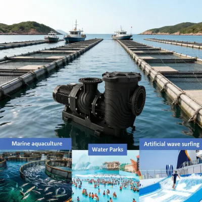 Large Flow Circulation Pump 4HP-25HP for Wave Pool Water Park Seawater Marine Aquaculture Water Pump