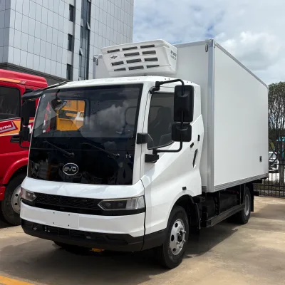 New 4Ton BYD New Energy Electric Freezer Truck 5Ton Mini BYD Electric Refrigerated Truck