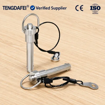 Heavy Load Push Button Quick Detach Pin Stainless Steel Lanyard Type Lock Pin for Construction Frame Custom Specs Supported