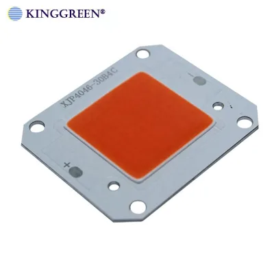 High Quality 12V Input COB LED 50W White ,Full Spectrum Free Driver Light Engine COB LED Light Beads for LED Floodlight