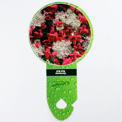 PP Garden Tools Printed Flower Name Hydrangea Label Plant Tags