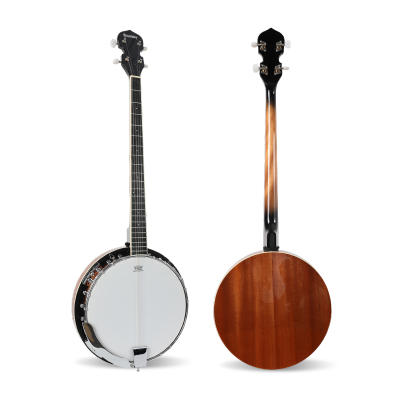 Starway Wholesale Musical Instruments Banjo Open Type Gloss Electric Banjo Ukulele Tenor Concert 4 and 5 String Ukulele Banjo