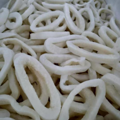 FROZEN SQUID FISH