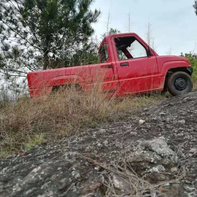 45km/h Low Speed Electric Pickup Made in China
