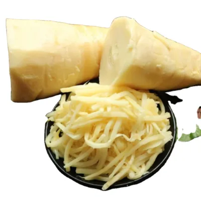 Chopped Crispy Boiled Winter Bamboo Shoots of Whole Piece Tips for Asia Market