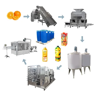 SUS304 Industrial Orange Fruit Crusher and Juice Processing Line