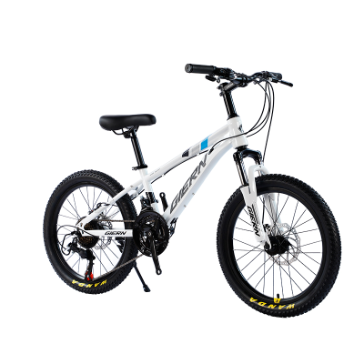 Sports Wholesale Women Mountainbikes Gear Cycle Cycles Bicycle Bikes for Adults Men Women 20 Bicycle