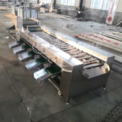 Commercial Automatic Fruit Sorting Machine 220V Grading Machine for Carrot Potato Other Vegetables with Motor As Core Component