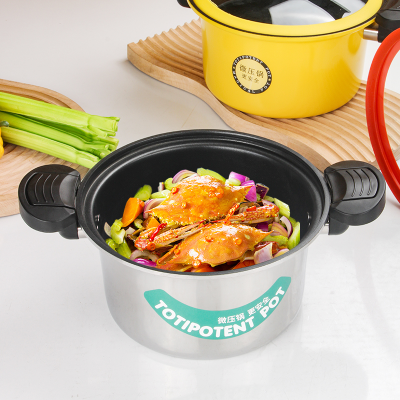 Multi-functional Stainless Steel Micro Pressure Cooker Stew Pot Soup Cooking Pot for Kitchen