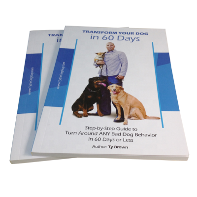Cheap Training Guide Book Softcover Book Printing Service