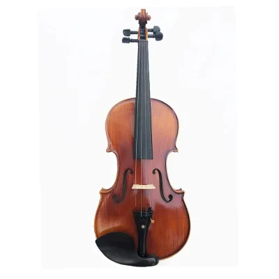 Violin Student Player Finishing Glossy White Pine Maple Handmade with Case