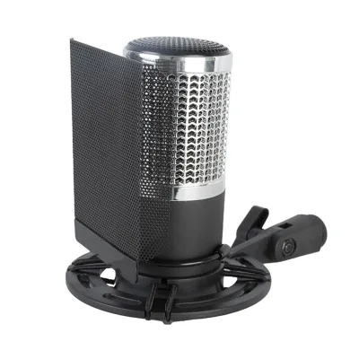 48V Large-Diaphragm Full-Metal Condenser Microphone Professional Wired Microphone