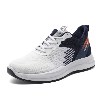 Factory Wholesale Casual Walking Sport Shoes Men Footwear