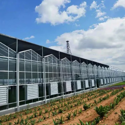 High-Quality Prefabricated Farm Agriculture Steel Structure Construction Steel Building
