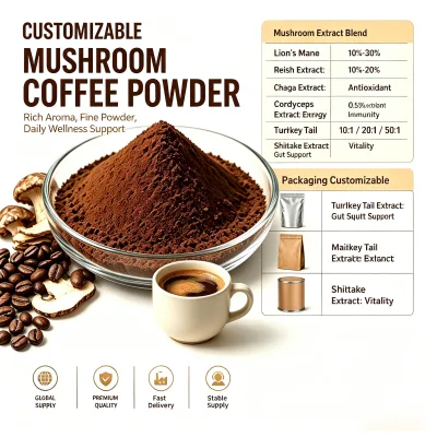 Factory Wholesale OEM Mushroom Powder 10 in 1 6 in 1 Arabica Coffee Blend Robusta Mushroom Coffee