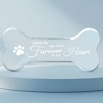Factory Customized Modern Acrylic Waterproof Pet Commemorative Gift Transparent Table Decoration in Bone Shape