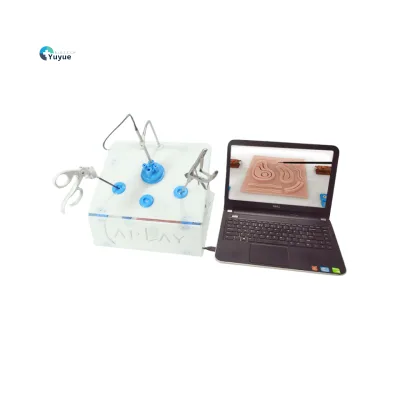 Abdominal Cavity Laparoscopic Surgery Manikin Modular Teaching Instruments for Practice Metal Material