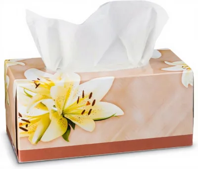 Factory Sale 2 Ply 3Ply Ultra Soft Thick Custom Facial Box Tissue Paper with Customized logo