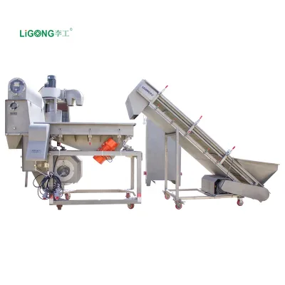 Ligong Vegetable and Fruit Sorting Machine Cherry Tomato Sorting Machine Fruit Grading Machine