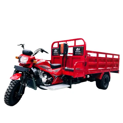 Big Space CCC Trike 3 Wheel Motor Tricycle Gas 3 Wheels Tricycle Heavy Duty Cargo 250cc  Box Container