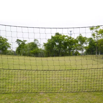Electric Fence Black Plastic Poultry Fence Netting with PE Wire
