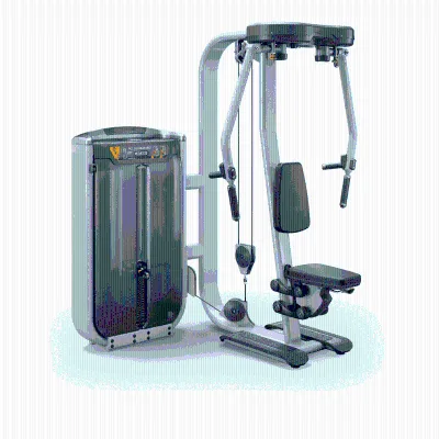 Directly Manufactured China Gym Fitness Needle Load Selection Machine for Leg Back Overall Strength Exercise Row/Rear Delt