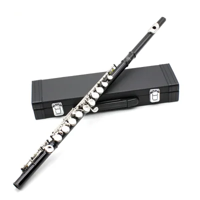 Full Set 16-Hole Flute Multi-colors  with Cupronickel Body for Beginners with case