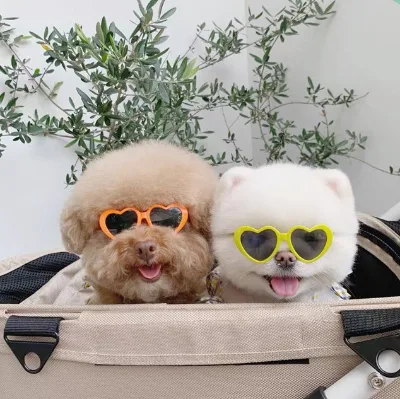 Wholesale Fashion Heart Cat Pet Dog Sunglasses