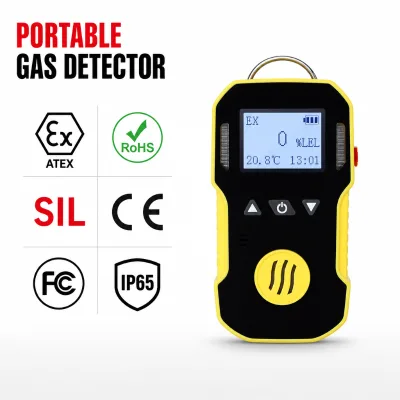 Bosean Low High Alarm Adjustable Calibration Explosion Proof Anti Slip Rubber Housing CO H2S CH4 Personal Single Gas Detector