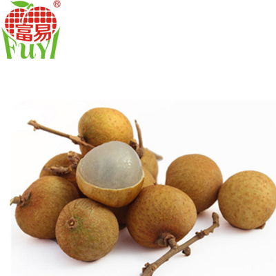 100% Orchard Fresh Sweet Longan Fruit
