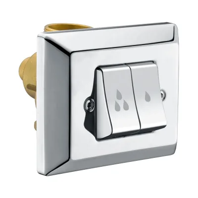 Concealed Toilet Flush Valve with Double Push Button