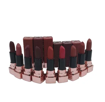 Hot Sale Fun Colour Natural Lip Stick Set Colorful Matte Long Lasting Lip Gloss Lipstick