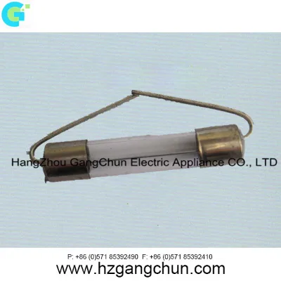 Induction Cooker Fuse