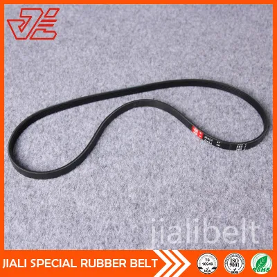 Molded Rubber Ribbed Belt 360J for X Bike