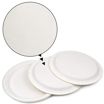 New Design 10" Eco Friendly Cake Serving Dish Biodegradable Disposable Party Supply Sets Plates