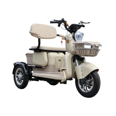 EEC COC Electric Passenger Tricycle 60v 32ah Open Body E Truck Trick with Comfortable Seats